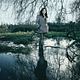 The Killing (US) : photo Michelle Forbes
