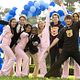 Greek : photo Amber Stevens, Dilshad Vadsaria, Jacob Zachar, Jake McDorman, Paul James