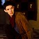 Merlin : photo Colin Morgan