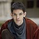 Merlin : photo Colin Morgan