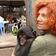 Bonobos : photo Alain Tixier, Claudine André