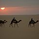 <b>Nathalie Borgers</b> Photo : Vents de sable, femmes de roc