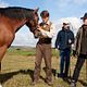Cheval de guerre : photo Celine Buckens, Steven Spielberg