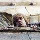 <b>Peter Dinklage</b> Photo : Le Trône de fer : Game of Thrones