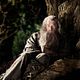 Bilbo le Hobbit : un voyage inattendu : photo Peter Jackson