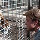 <b>Elle Fanning, Matt Damon, Scarlett Johansson</b> Photo : We Bought a Zoo