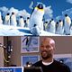 Happy Feet 2 : photo George Miller
