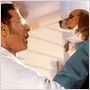 Comme chiens et chats