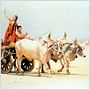 Lagaan