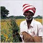 Ayurveda