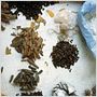 Ayurveda