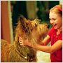 Winn-Dixie mon meilleur ami