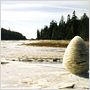 Rivers and Tides