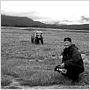 Grizzly Man