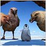 Happy Feet