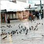 Sarajevo, mon amour