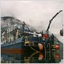 Deep Sea dansons sous la mer