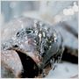 We Feed the World - le marché de la faim