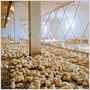 We Feed the World - le marché de la faim