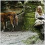 Survivre avec les loups