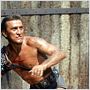 Spartacus