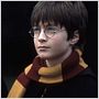 Harry Potter à l'école des sorciers