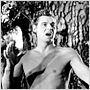 Tarzan, l'homme singe