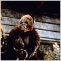 King Kong II