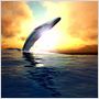 Festin de requin