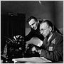 La Liste de Schindler