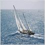 Tabarly