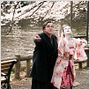 Cherry Blossoms