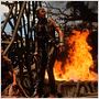 Waterworld