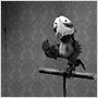 Mary et Max.