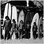 Surfwise