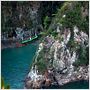 The Cove - La Baie de la honte