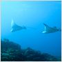 Voyage sous les mers 3D