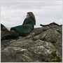 Ondine