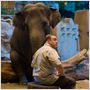 Zookeeper