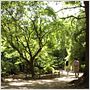 La Ballade de l'Impossible - Norwegian Wood