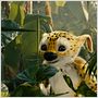 Sur la piste du Marsupilami