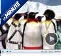 Photo : La Minute N°102 - Lundi 19 novembre 2007
