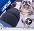 Photo : La Minute N°436 - Lundi 16 mars 2009