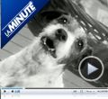 Photo : Lundi 7 mai 2012