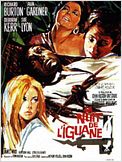 La Nuit de l'iguane