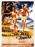Sous le ciel bleu de Hawaii
