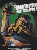 Frankenstein s'est échappé