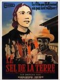 Le Sel de la Terre