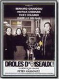 Droles d'oiseaux !
