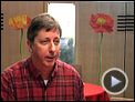 Hal Hartley Interview : Trust Me